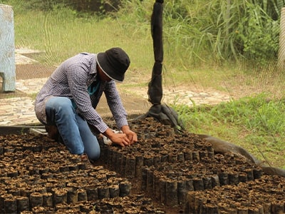 Actividades del sector agropecuario a pequeña escala